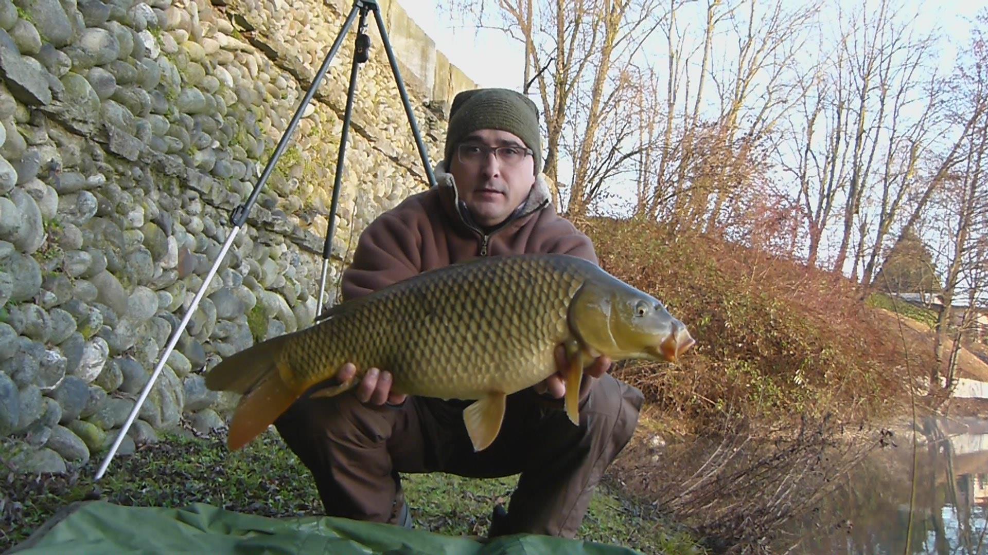 Lago dei Cigni 12 - 12 ian.